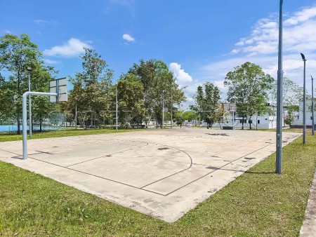 Terrace House for Auction