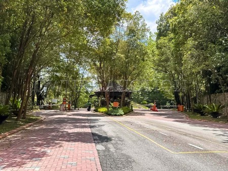 Terrace House for Auction