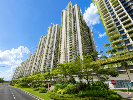 Serviced Residence For Auction at Forest City