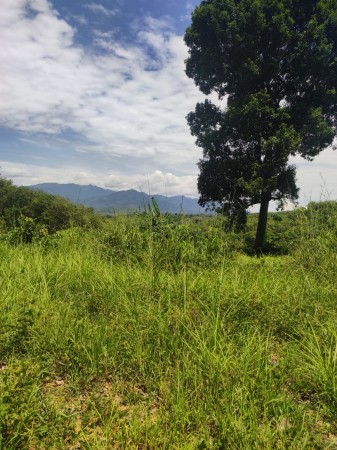 Agriculture Land For Sale at Lenggong