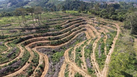 Agriculture Land For Sale at Kuala Lipis
