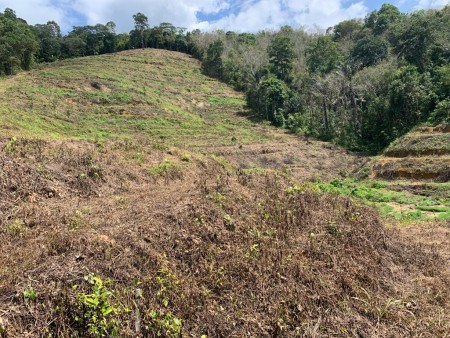 Agriculture Land For Sale at Kuala Kangsar