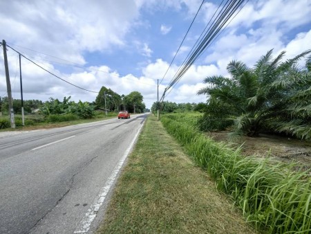 Agriculture Land For Sale at Kuala Selangor