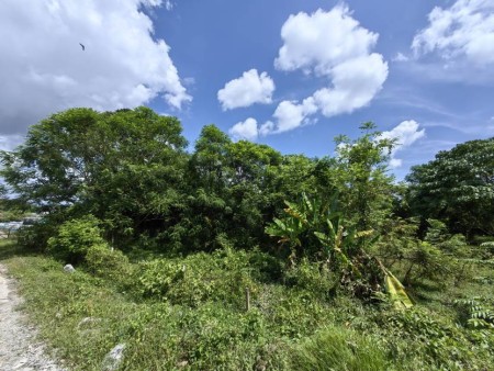 Agriculture Land For Sale at Pajam