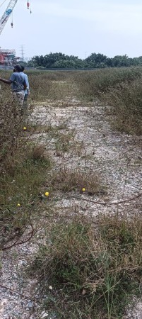 Industrial Land For Rent at Telok Panglima Garang