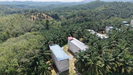 Agriculture Land For Sale at Kuala Lipis