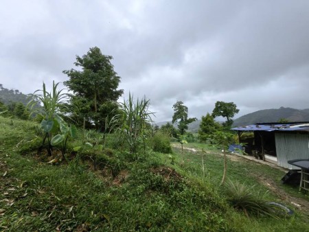 Agriculture Land For Sale at Bentong