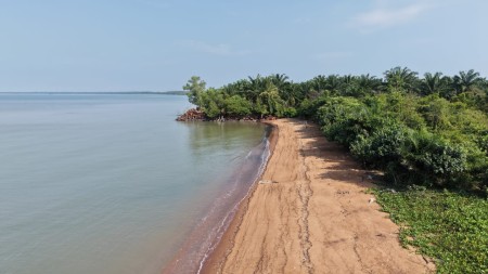 Agriculture Land For Sale at Port Dickson