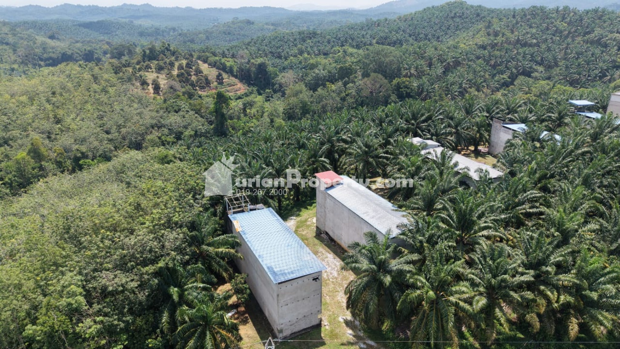 Agriculture Land For Sale at Kuala Lipis