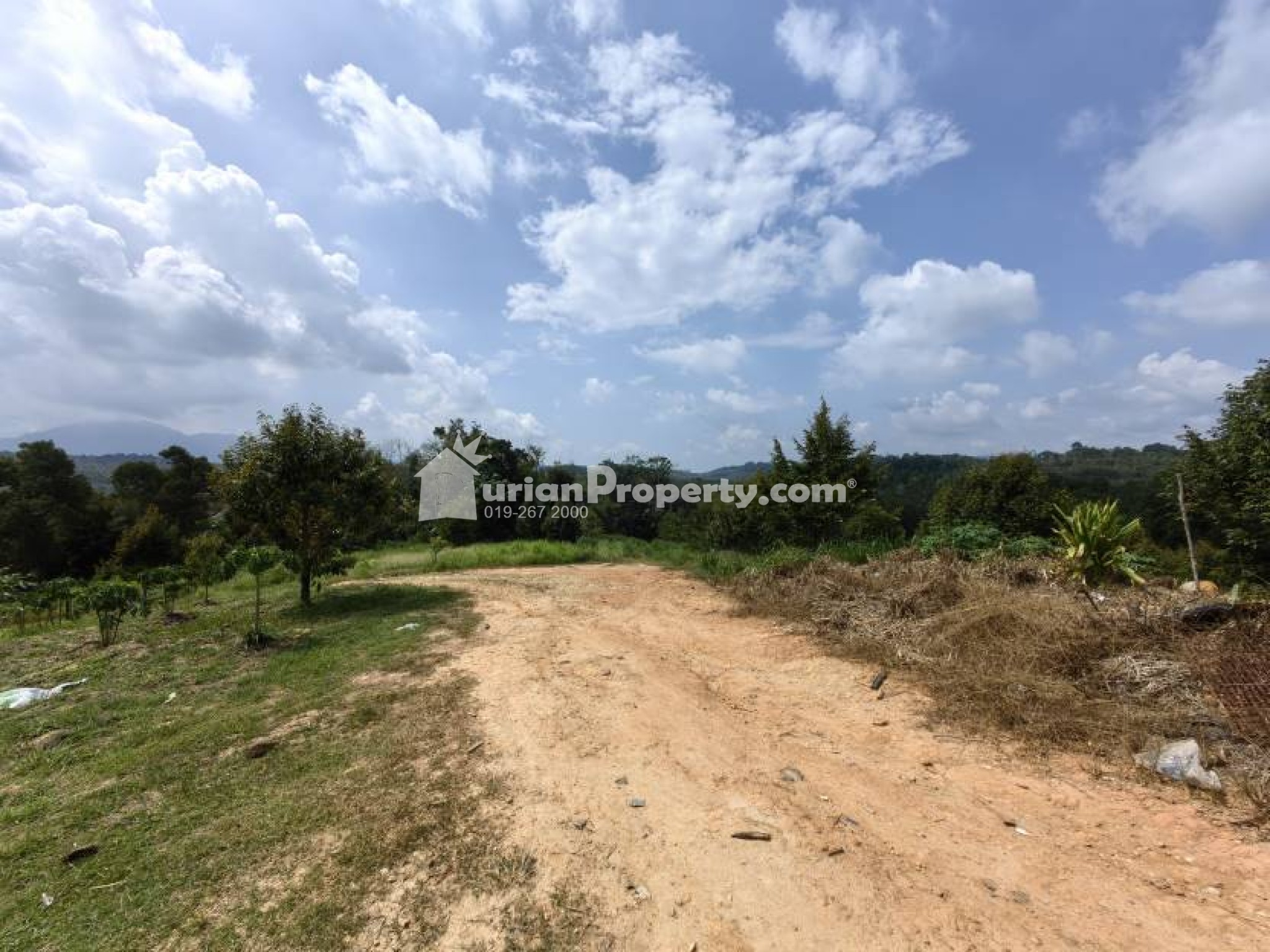 Agriculture Land For Sale at Raub