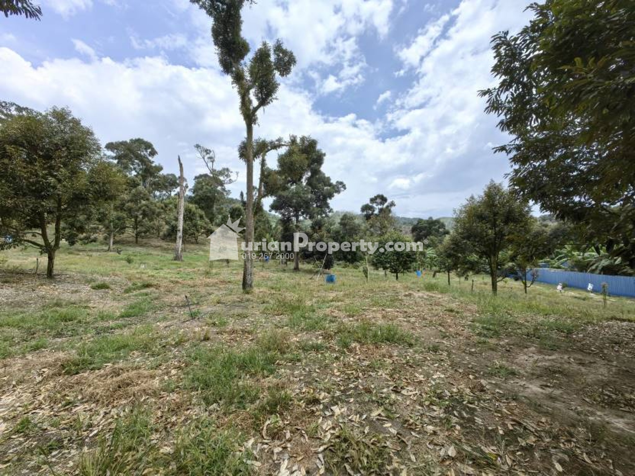 Agriculture Land For Sale at Chenor
