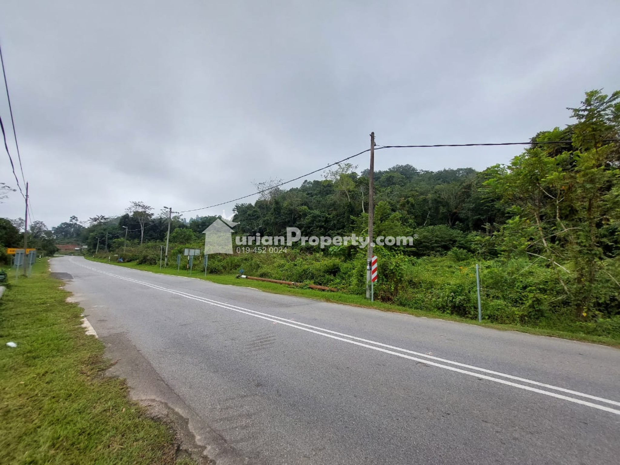 Agriculture Land For Sale at Gemencheh