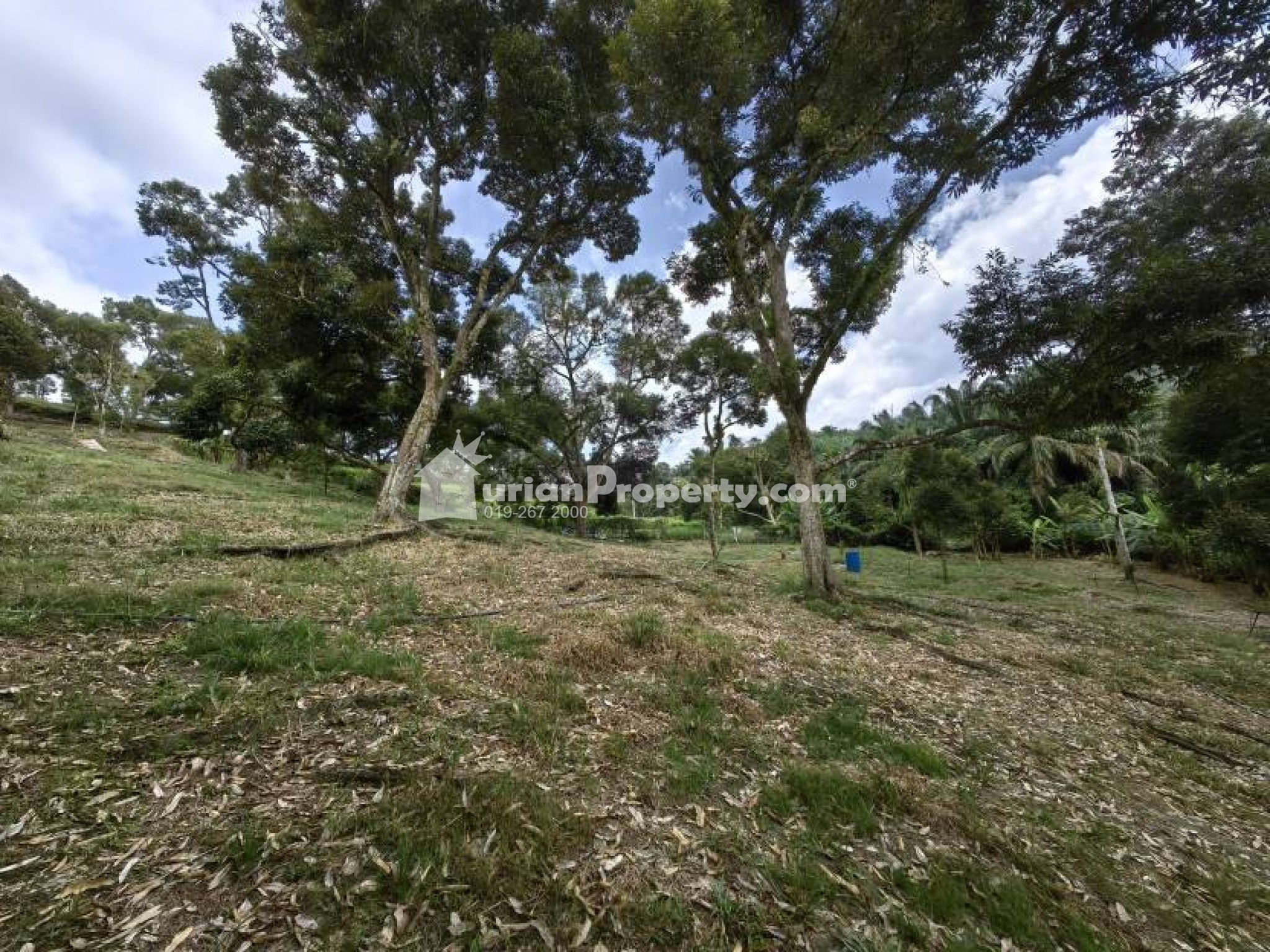 Agriculture Land For Sale at Chenor