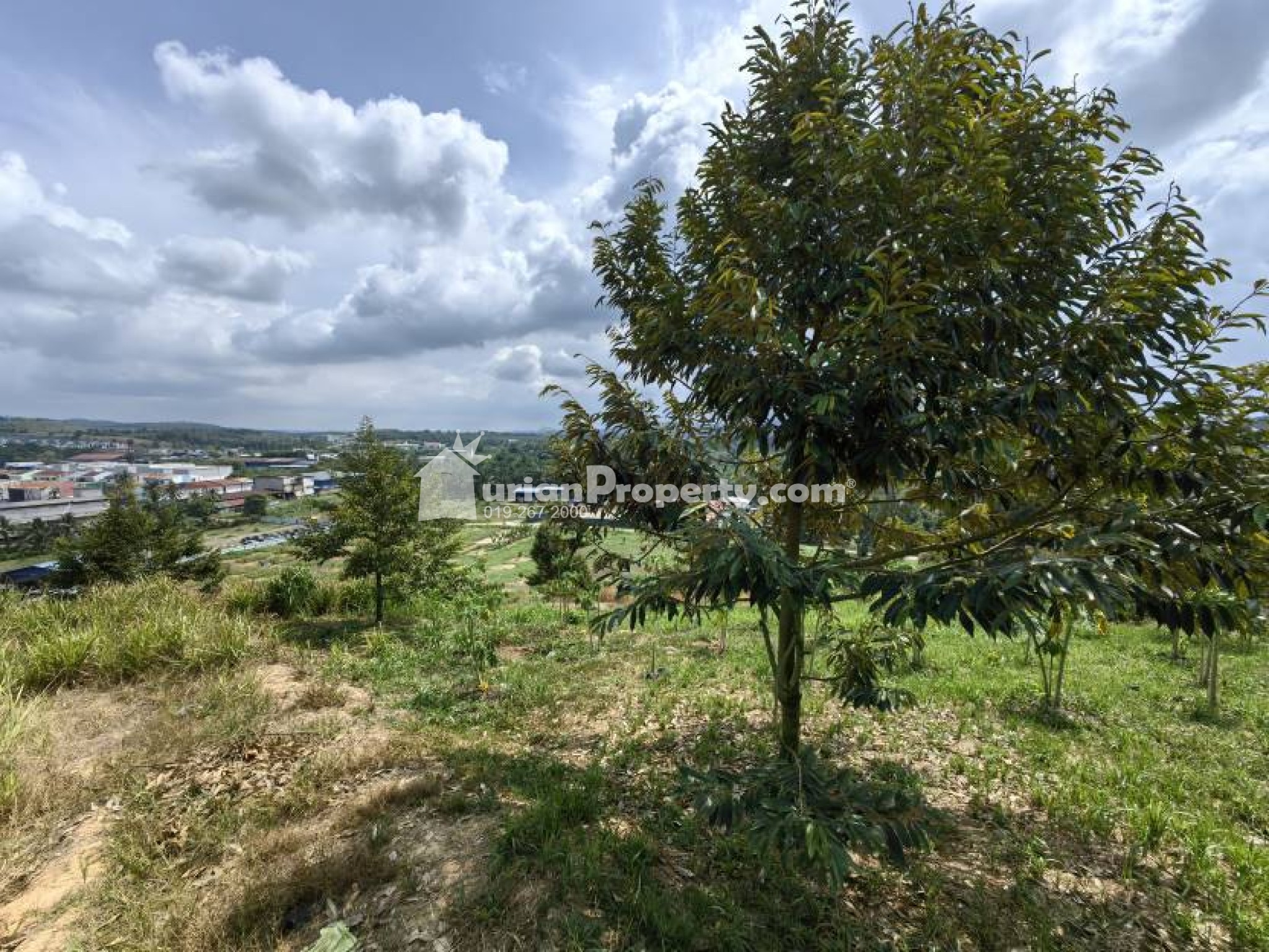 Agriculture Land For Sale at Raub